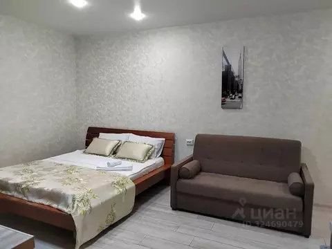 Студия Московская область, Балашиха просп. Ленина, 32д (36.0 м)