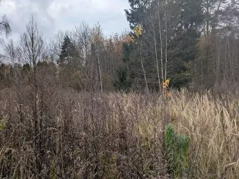 Участок в Московская область, Щелково городской округ, д. Орлово  ...