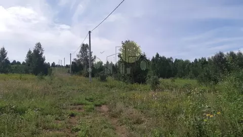 Участок в Иркутская область, Иркутский муниципальный округ, д. Карлук ...