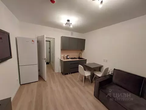 Студия Санкт-Петербург ул. Пахомовская, 12к1 (21.0 м)