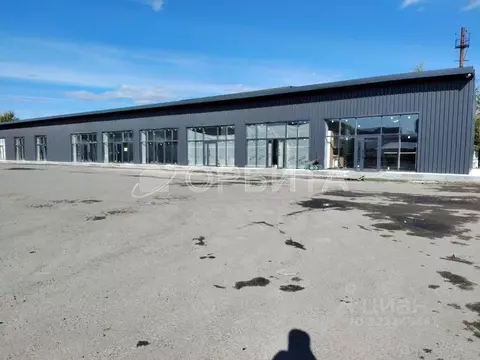 Помещение свободного назначения в Тюменская область, Тюмень ул. Андрея ...