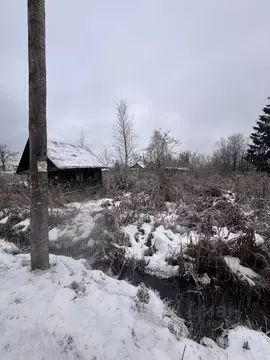 Участок в Новгородская область, Новгородский район, Ермолинское с/пос, ...