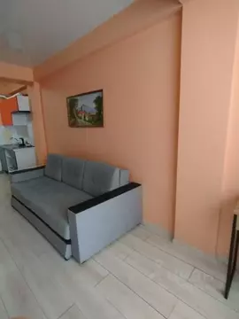 Студия Краснодарский край, Сочи Донская мкр, ул. Пасечная, 45Г/1 (28.0 ...