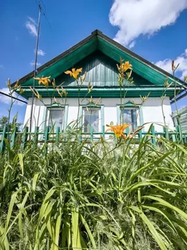 Дом в Омская область, Омск Пикетная ул., 13 (54 м)