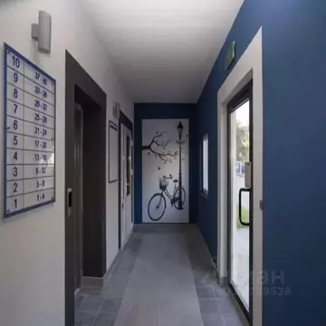 1-к кв. Калининградская область, Калининград Белгородская ул., 5 (45.0 ...