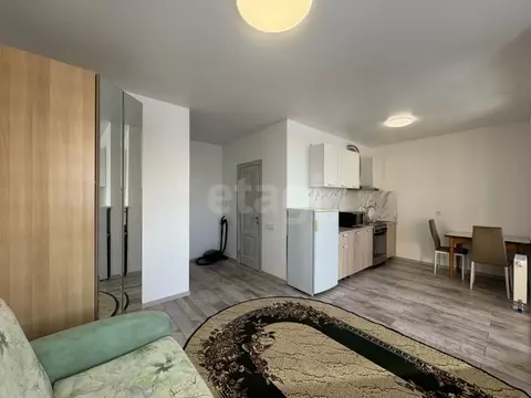 Студия Тюменская область, Тюмень ул. Надира Сагдеева, 2 (30.0 м)