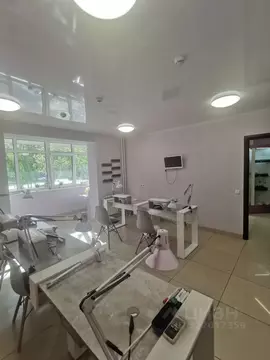 Помещение свободного назначения в Алтайский край, Барнаул ул. Попова, ...