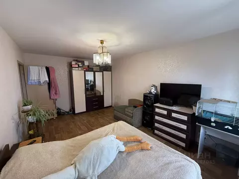 1-к кв. Калининградская область, Калининград ул. Левитана (36.3 м)