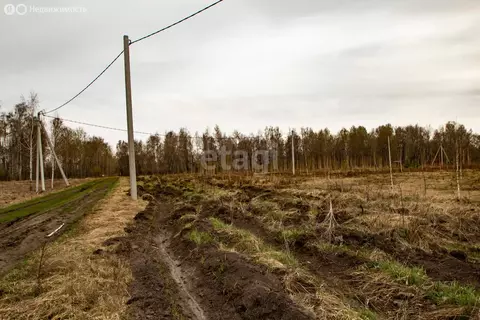 Участок в Тюменская область, Ялуторовский муниципальный округ, поселок ...