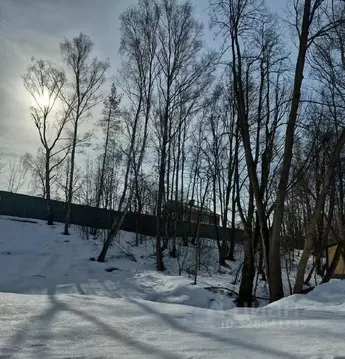 Участок в Московская область, Истра муниципальный округ, д. ...