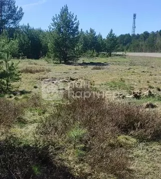 Участок в Ленинградская область, Лодейное поле ул. ...