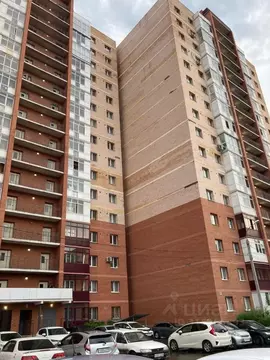 Студия Иркутская область, Иркутск Крылатый мкр, 24/2 (25.0 м)