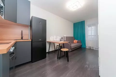 Студия Санкт-Петербург просп. Буденного, 23к1 (24.4 м)