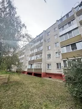 3-к кв. Белгородская область, Алексеевка ул. Фрунзе, 1 (58.0 м)