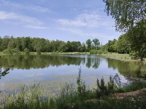Участок в Московская область, Серпухов городской округ, д. ...