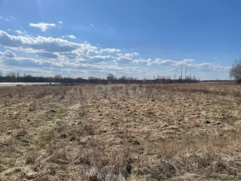 Участок в Псковская область, Псковский район, Логозовская волость, д. ...