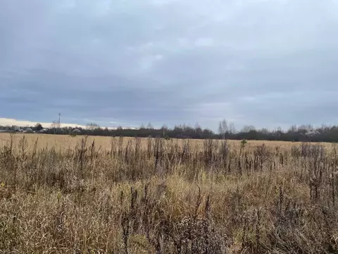 Участок в Московская область, Павлово-Посадский городской округ, д. ...