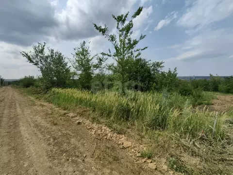 Участок в Ростовская область, Родионово-Несветайский район, ...