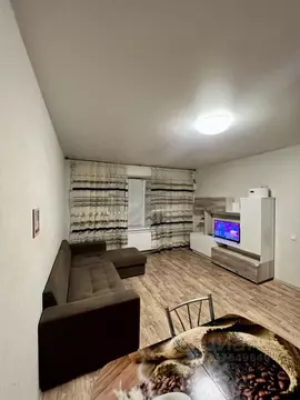 1-к кв. Татарстан, Пестречинский район, Шигалеевское с/пос, с. Новое ...