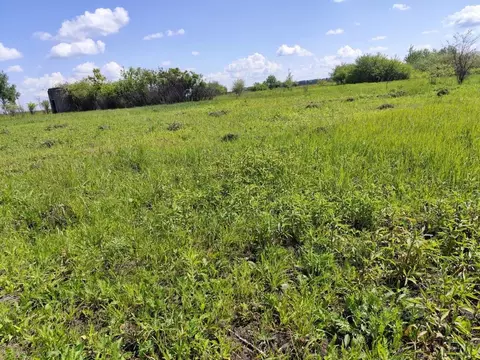 Участок в Курская область, Курский район, Щетинский сельсовет, Спутник ...