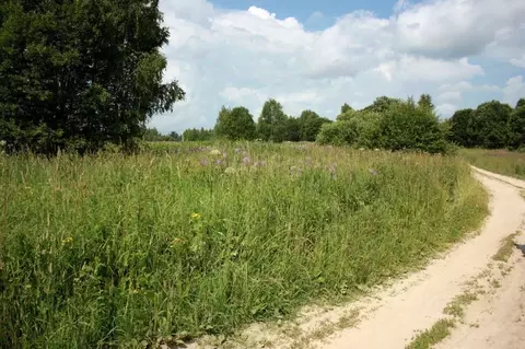 Участок в Ярославская область, Переславль-Залесский муниципальный ...