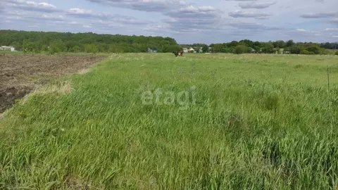 Участок в Белгородская область, Корочанский район, Жигайловское с/пос, ...