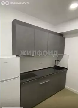 Квартира-студия: Сочи, микрорайон Светлана, улица Лысая Гора, 27/28 ...