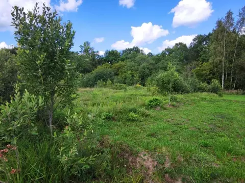 Участок в Новгородская область, Новгородский район, Ермолинское с/пос, ...