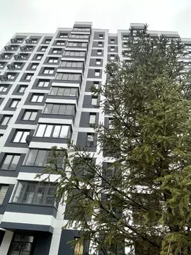 Студия Москва Новые Ватутинки жилрайон, Заречный мкр, 5/2 (28.7 м)