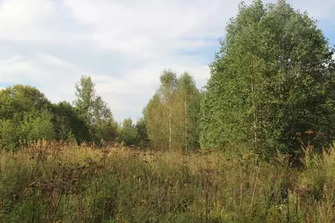 Участок в Московская область, Шаховская муниципальный округ, д. ...