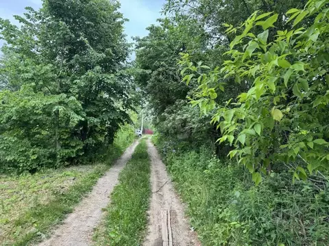 Участок в Брянская область, Брянск Юпитер садовое общество,  (3.86 ...