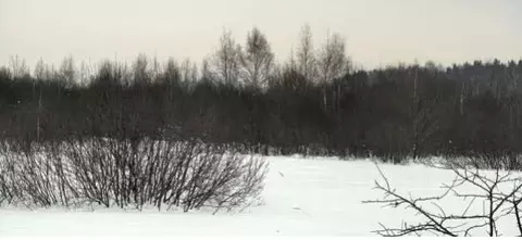 Участок в Московская область, Коломна городской округ, пос. Пески  ...