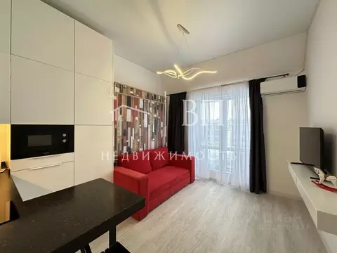 Студия Санкт-Петербург ул. Струве, 10к1 (22.7 м)