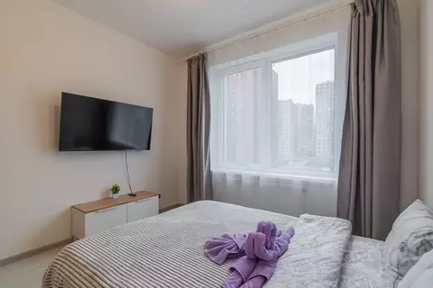 1-к кв. Санкт-Петербург аллея Арцеуловская, 19 (45.0 м)