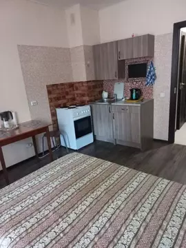 Студия Ленинградская область, Мурино Всеволожский район, бул. ...