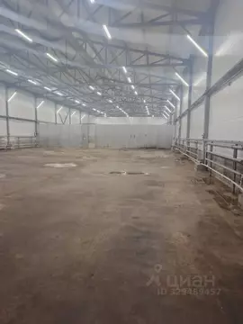 Склад в Московская область, Домодедово Центральный мкр, ул. ...