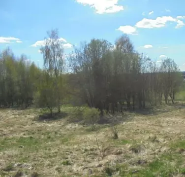 Участок в Московская область, Дмитровский муниципальный округ, с. ...