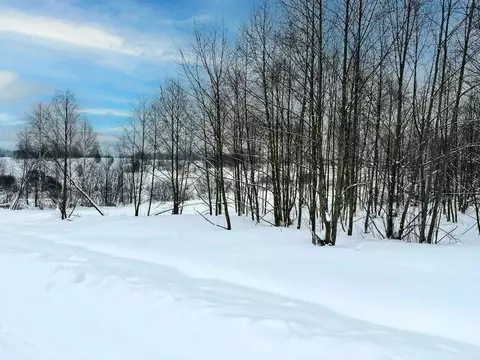 Участок в Московская область, Дмитровский муниципальный округ, Сбоево ...
