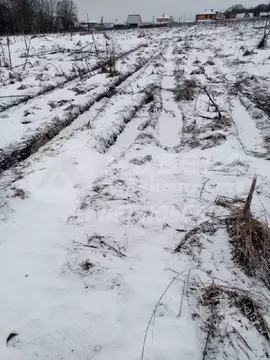 Участок в Тюменская область, Тюменский муниципальный округ, с. Борки ...