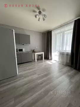 Студия Самарская область, Самара ул. Стара-Загора, 21 (29.1 м)