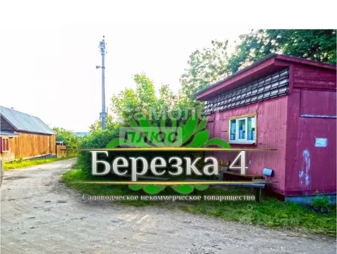 Участок в Челябинская область, Копейск Березка-4 СНТ, 976 (9.0 сот.)