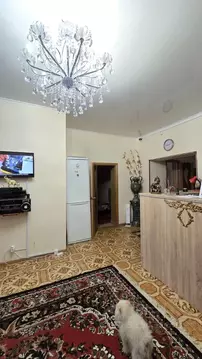 Помещение свободного назначения в Курская область, Курск ул. ...