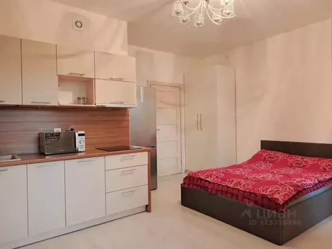 Студия Санкт-Петербург ул. Струве, 18 (24.0 м)