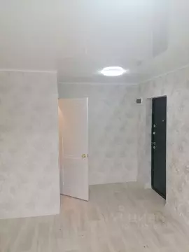 Студия Томская область, Томск Черемошники мкр, ул. Пролетарская, 25 ...