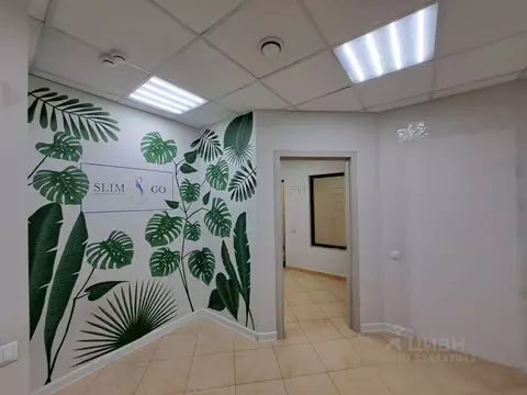 Офис в Московская область, Пушкино Надсоновская ул., 24 (40 м)