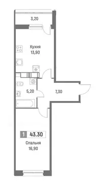 1-комнатная квартира: Мурино, Ручьёвский проспект, 1/24 (43.3 м)