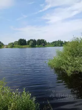 Участок в Новгородская область, Новгородский район, Бронницкое с/пос, ...