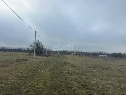 Участок в Ростовская область, Аксайский район, Старочеркасское с/пос, ...