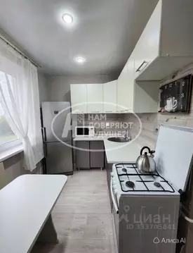 2-к кв. Пермский край, Чернушка Парковая ул., 4 (47.1 м)