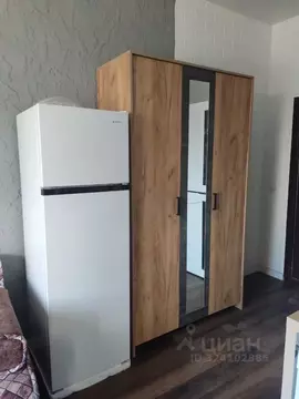 Студия Красноярский край, Красноярск Телевизорная ул., 1С99 (16.0 м)